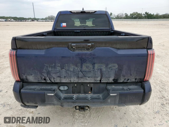 2023 Toyota Tundra Platinum Hybrid с VIN 5TFNC5EC2PX002928, выставлен на аукционе Copart как лот 57489745 с пробегом 34 203 миль миль и Чистый • Clean title. История ставок и продаж доступна на DreamBid. Изображение 6.