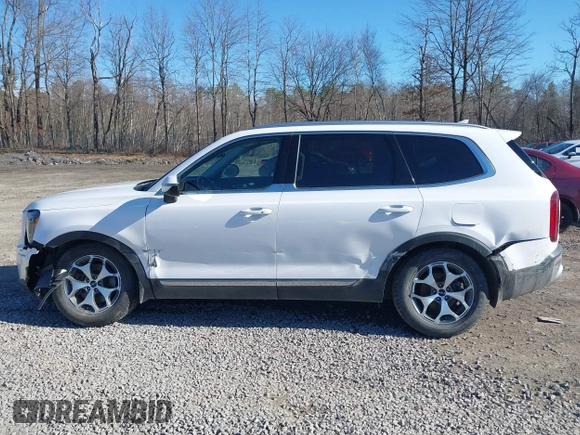 2022 Kia Telluride EX z VIN 5XYP34HC2NG260767, wystawiony jako IAAI lot #41816535 z przebiegiem 81 012 mil mil oraz . Historia ofert i sprzedaży dostępna na DreamBid. Obrazek 14.