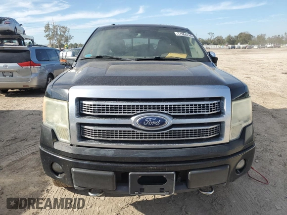 2009 Ford F-150 XL with VIN 1FTPW14V39FA46411, listed as a Copart auction lot 77964244 with 267,792 mi miles and Salvage title. Bid and sale history available at DreamBid. Image 5.