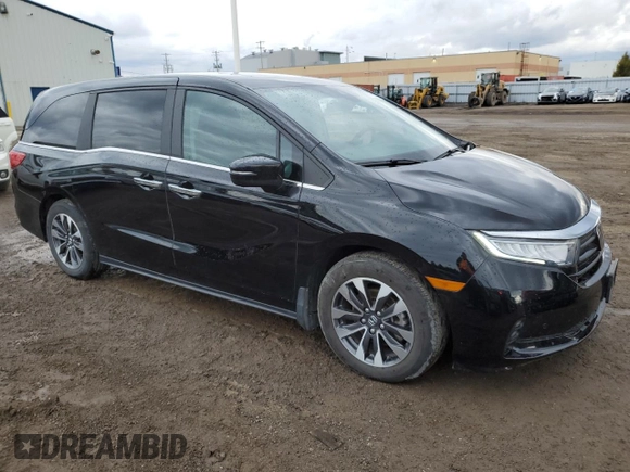 2024 Honda Odyssey EX-L with VIN 5FNRL6H69RB501705, listed as a Copart auction lot 53372625 with 29,603 mi miles and Clean Title. Bid and sale history available at DreamBid. Image 4.