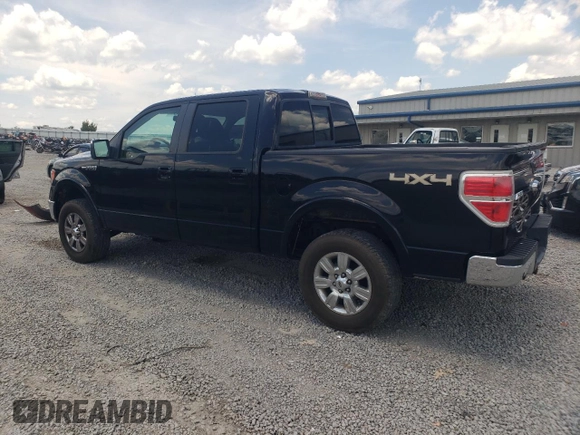 2009 Ford F-150 XL with VIN 1FTPW14V09FB25728, listed as a Copart auction lot 61993255 with 342,183 mi miles and Salvage title. Bid and sale history available at DreamBid. Image 2.