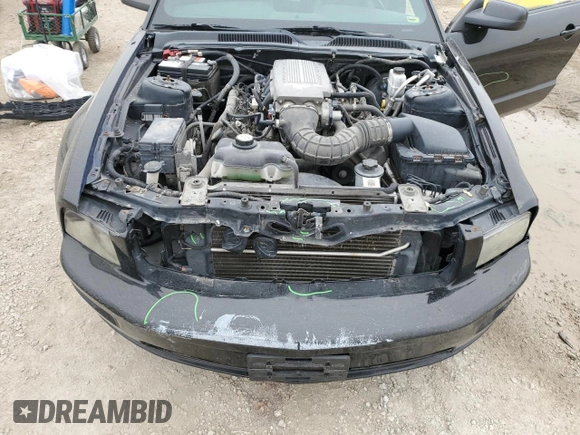 2009 Ford Mustang GT with VIN 1ZVHT82HX95105699, listed as a Copart auction lot 53817395 with 139,600 mi miles and Salvage title. Bid and sale history available at DreamBid. Image 11.