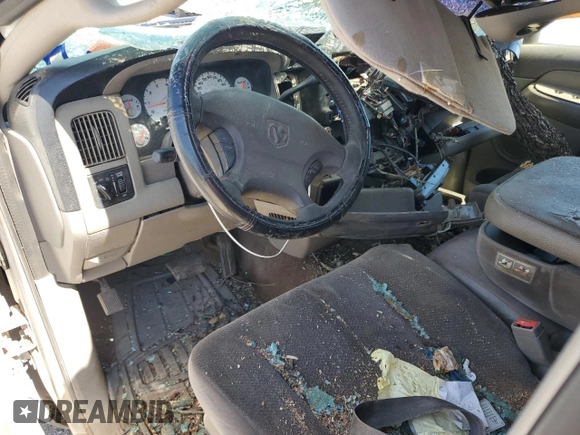 2002 Dodge 1500 with VIN 1D7HA18N02S532688, listed as a Copart auction lot 54072395 with 186,296 mi miles and Salvage title. Bid and sale history available at DreamBid. Image 8.