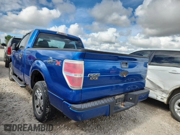 2009 Ford F-150 XL with VIN 1FTRF12W99KC32515, listed as a Copart auction lot 60455865 with 251,348 mi miles and Clean title. Bid and sale history available at DreamBid. Image 2.