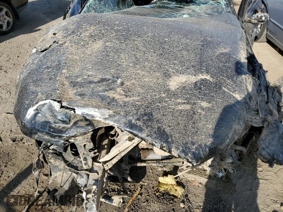 2018 BMW 7 Series 740i xDrive with VIN WBA7E4C57JGV28123, listed as a Copart auction lot 79229034 with 0 mi miles and Salvage Title. Bid and sale history available at carsss.com. Image 11.