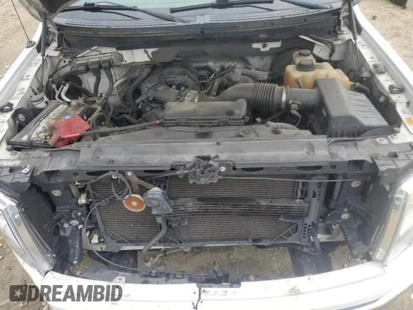 2013 Ford F-150 XL z VIN 1FTEX1CM3DFA39318, wystawiony jako Copart lot #56255635 z przebiegiem 284 281 mil mil oraz Szkoda całkowita • Salvage title. Historia ofert i sprzedaży dostępna na DreamBid. Obrazek 11.