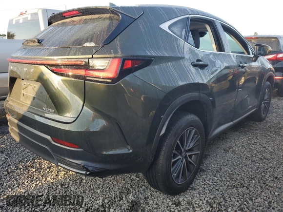 2022 Lexus NX with VIN 2T2ADCAZ4NC002446, listed as a Copart auction lot 73936134 with 11,751 mi miles and Salvage Title. Bid and sale history available at carsss.com. Image 3.