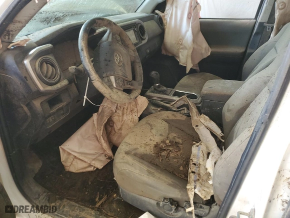 2019 Toyota Tacoma 4WD SR with VIN 3TMCZ5AN8KM282849, listed as a Copart auction lot 48133525 with 0 mi miles and Salvage Title. Bid and sale history available at carsss.com. Image 7.