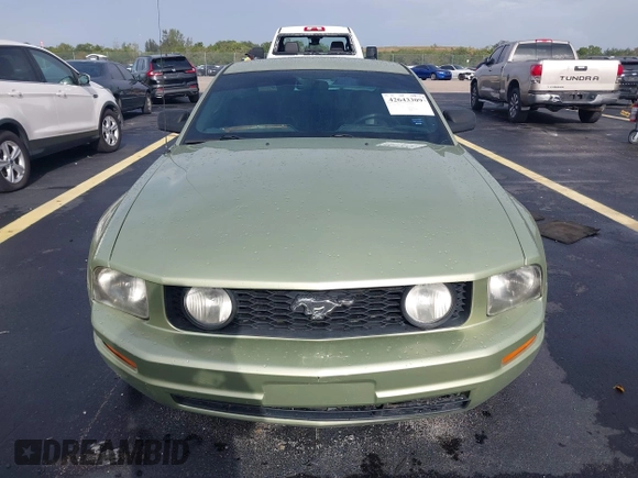 2005 Ford Mustang Deluxe с VIN 1ZVFT80N255140487, выставлен на аукционе IAAI как лот 42643309 с пробегом 153 782 миль миль и . История ставок и продаж доступна на DreamBid. Изображение 12.