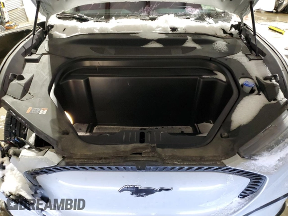 2022 Ford Mustang Mach-E California Route 1 with VIN 3FMTK2SU4NMA17256, listed as a Copart auction lot 45301305 with 29,366 mi miles and Salvage title. Bid and sale history available at DreamBid. Image 12.