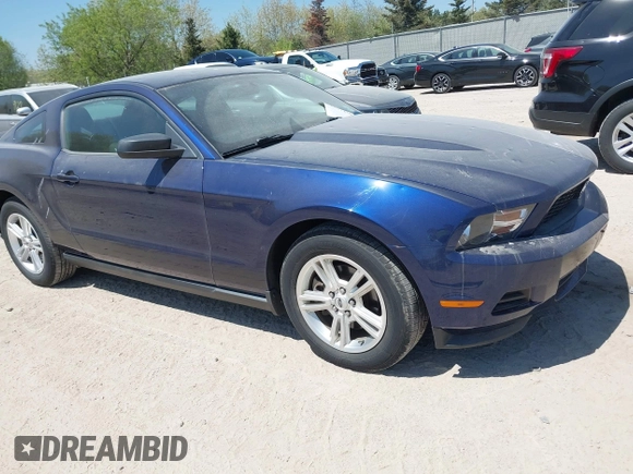 2012 Ford Mustang Premium with VIN 1ZVBP8AM3C5253841, listed as a IAAI auction lot 42157276 with 58,054 mi miles and . Bid and sale history available at DreamBid. Image 1.