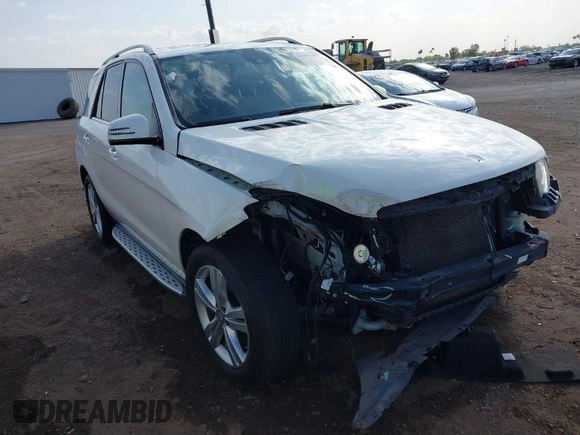 2015 Mercedes-Benz M 350 with VIN 4JGDA5JB3FA534992, listed as a IAAI auction lot 41885667 with 110,289 mi miles and . Bid and sale history available at DreamBid. Image 1.