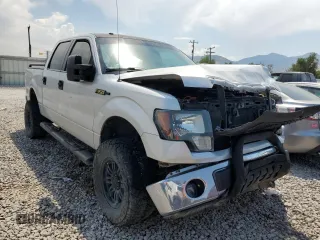 2009 Ford F-150 XL with VIN 1FTRW12879FA42609, listed as a Copart auction lot 62177534 with 157,629 mi miles and Salvage Title. Bid and sale history available at carsss.com. Image 4.