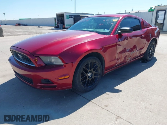 2014 Ford Mustang V6 with VIN 1ZVBP8AM3E5331909, listed as a IAAI auction lot 41843849 with 141,514 mi miles. Bid and sale history available at carsss.com. Image 18.