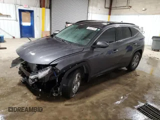 2022 Hyundai Tucson SEL with VIN KM8JB3AE0NU066098, listed as a Copart auction lot 49412145 with 103,406 mi miles and Salvage Title. Bid and sale history available at carsss.com. Image 1.