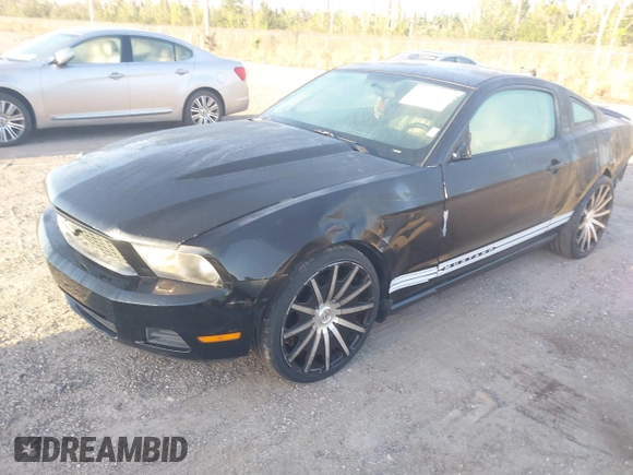 2011 Ford Mustang V6 with VIN 1ZVBP8AM6B5160195, listed as a IAAI auction lot 41803594 with 146,244 mi miles and . Bid and sale history available at carsss.com. Image 17.