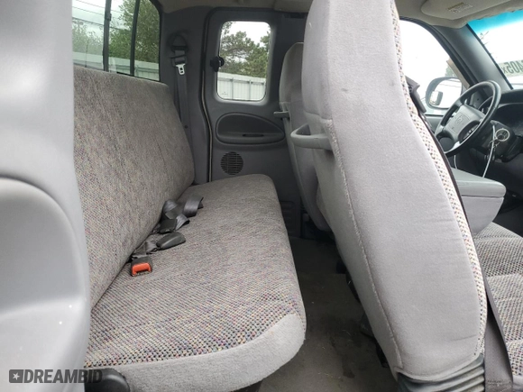 1999 Dodge Ram 1500 with VIN 3B7HF13Z9XG247816, listed as a Copart auction lot 53066405 with 164,766 mi miles and Salvage Title. Bid and sale history available at carsss.com. Image 10.