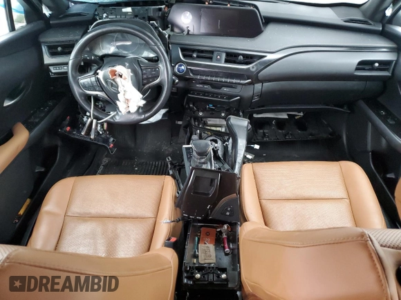 2019 Lexus UX 250h with VIN JTHU9JBH9K2009009, listed as a Copart auction lot 42381095 with Not provided miles and Salvage title. Bid and sale history available at DreamBid. Image 8.