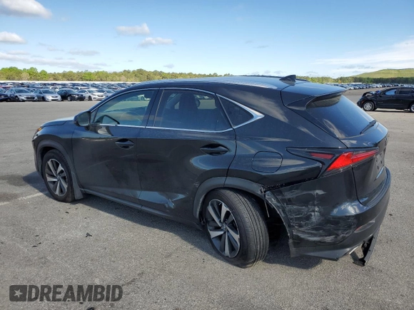 2019 Lexus NX 300 with VIN JTJBARBZ3K2203877, listed as a Copart auction lot 57160035 with 46,238 mi miles and Salvage title. Bid and sale history available at DreamBid. Image 2.