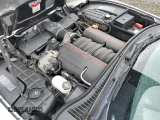 2004 Chevrolet Corvette with VIN 1G1YY22G045133506, listed as a Copart auction lot 48491135 with 54,293 mi miles and Salvage Title. Bid and sale history available at carsss.com. Image 11.