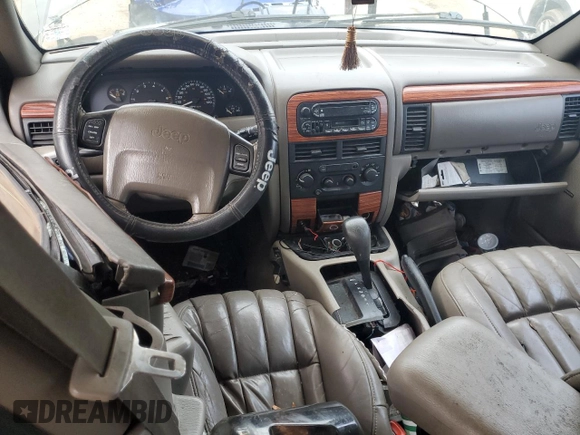 1999 Jeep Grand Cherokee Limited with VIN 1J4G268S3XC728805, listed as a Copart auction lot 79878974 with 206,768 mi miles and Salvage title. Bid and sale history available at DreamBid. Image 8.