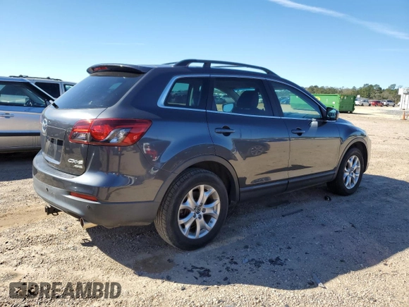 2014 Mazda CX-9 Touring with VIN JM3TB3CV4E0440446, listed as a Copart auction lot 47953125 with 113,538 mi miles and Salvage Title. Bid and sale history available at carsss.com. Image 3.