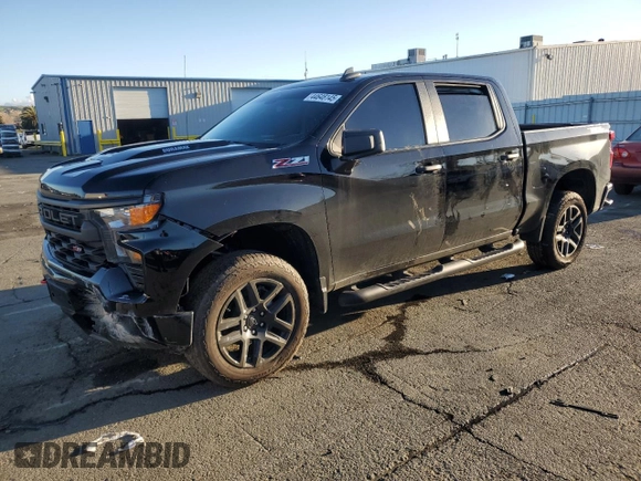 2024 Chevrolet Silverado 1500 Custom Trail Boss with VIN 3GCUDCE83RG218772, listed as a Copart auction lot 44648145 with 8,672 mi miles and Salvage Title. Bid and sale history available at carsss.com. Image 1.