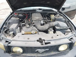 2007 Ford Mustang GT Deluxe with VIN 1ZVHT82H775289013, listed as a IAAI auction lot 42815485 with 167,390 mi miles and . Bid and sale history available at DreamBid. Image 10.