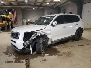2020 Kia Telluride SX with VIN 5XYP5DHC8LG030626, listed as a Copart auction lot 45863775 with 85,003 mi miles and Salvage Title. Bid and sale history available at DreamBid. Image 1.