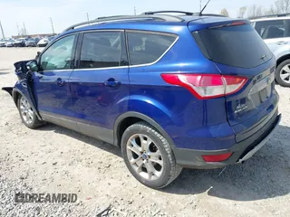 2013 Ford Escape SEL with VIN 1FMCU0H94DUC84666, listed as a IAAI auction lot 42001644 with 165,269 mi miles. Bid and sale history available at carsss.com. Image 3.