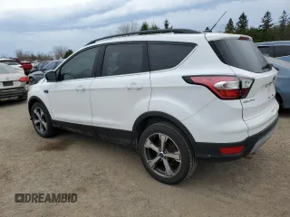 2017 Ford Escape SE with VIN 1FMCU0GD6HUA34874, listed as a Copart auction lot 53534365 with 138,824 mi miles and Salvage Title. Bid and sale history available at carsss.com. Image 2.