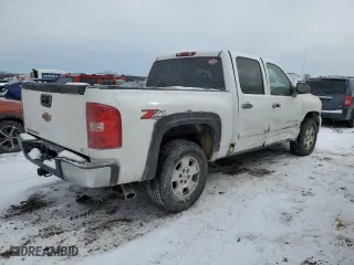2007 Chevrolet Silverado 1500 LS with VIN 2GCEK13C171574360, listed as a Copart auction lot 44772005 with 102,825 mi miles and Salvage Title. Bid and sale history available at carsss.com. Image 3.