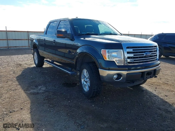 2013 Ford F-150 XL with VIN 1FTFW1EF5DFA41500, listed as a IAAI auction lot 41215195 with 123,160 mi miles. Bid and sale history available at carsss.com. Image 1.