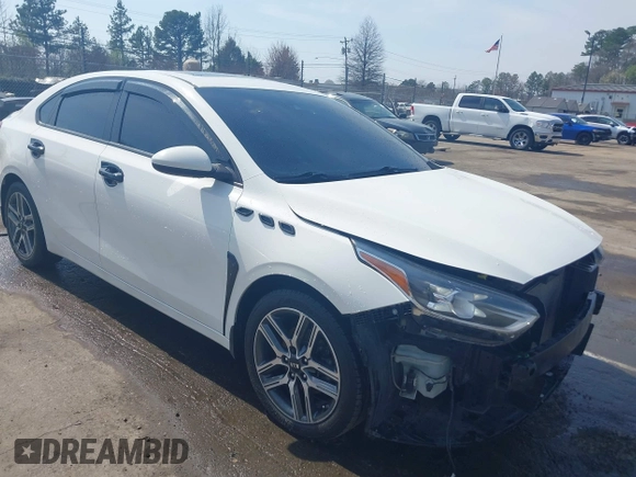 2019 Kia Forte S with VIN 3KPF34AD2KE028516, listed as a IAAI auction lot 41749001 with 233,472 mi miles. Bid and sale history available at carsss.com. Image 1.