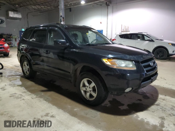 2009 Hyundai Santa Fe GL с VIN 5NMSG73E19H299628, выставлен на аукционе Copart как лот 49382195 с пробегом 179 579 миль миль и Списание • Salvage title. История ставок и продаж доступна на DreamBid. Изображение 4.