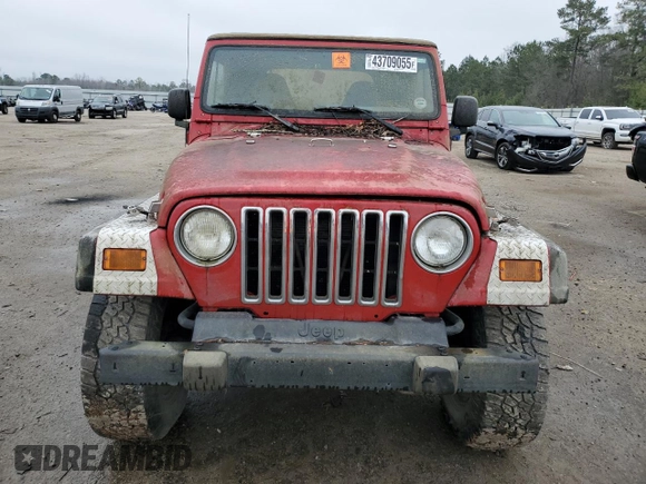 2002 Jeep Wrangler SE with VIN 1J4FA29P32P706533, listed as a Copart auction lot 43709055 with Not Provided miles and Salvage Title. Bid and sale history available at DreamBid. Image 5.