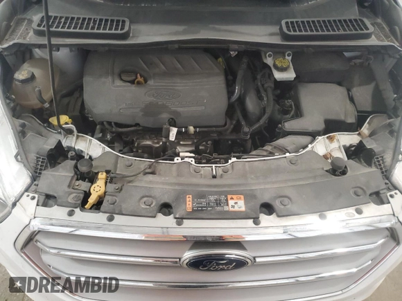 2017 Ford Escape SE with VIN 1FMCU0GD5HUD28394, listed as a Copart auction lot 52079995 with 120,223 mi miles and Salvage Title. Bid and sale history available at DreamBid. Image 13.