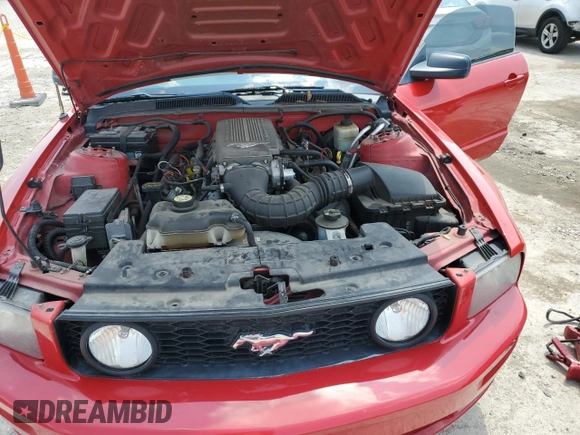 2008 Ford Mustang GT Deluxe с VIN 1ZVHT82H485102912, выставлен на аукционе Copart как лот 59882565 с пробегом 82 892 миль миль и Списание • Salvage title. История ставок и продаж доступна на DreamBid. Изображение 11.