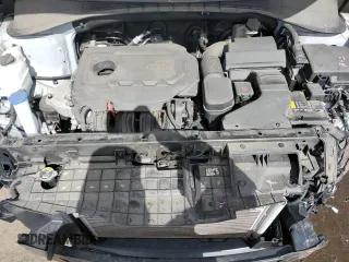 2019 Kia Sorento LX with VIN 5XYPGDA39KG554676, listed as a Copart auction lot 47882225 with 55,448 mi miles and Salvage Title. Bid and sale history available at carsss.com. Image 12.