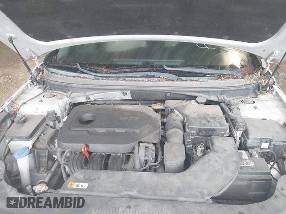 2016 Hyundai Sonata SE with VIN 5NPE24AF5GH357844, listed as a IAAI auction lot 42217108 with 138,227 mi miles and . Bid and sale history available at carsss.com. Image 10.