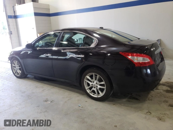 2010 Nissan Maxima SV with VIN 1N4AA5AP1AC823245, listed as a Copart auction lot 63808285 with 199,173 mi miles and Salvage title. Bid and sale history available at DreamBid. Image 2.