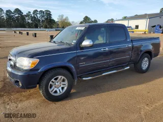 2005 Toyota Tundra SR5 with VIN 5TBET34105S489899, listed as a Copart auction lot 50333405 with 183,221 mi miles and Salvage Title. Bid and sale history available at carsss.com. Image 1.