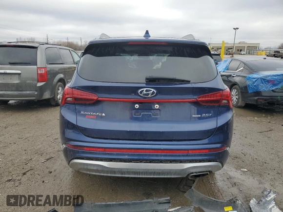 2023 Hyundai Santa Fe Calligraphy with VIN 5NMS5DAL3PH544237, listed as a Copart auction lot 44131265 with 18,633 mi miles and Salvage Title. Bid and sale history available at carsss.com. Image 6.
