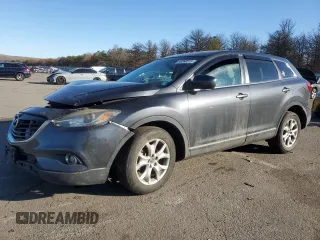 2014 Mazda CX-9 Touring with VIN JM3TB2CV0E0436923, listed as a Copart auction lot 45360515 with 116,801 mi miles and Clean Title. Bid and sale history available at carsss.com. Image 1.