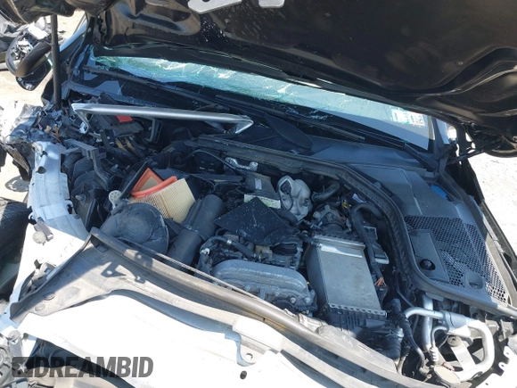 2017 Mercedes-Benz C 300 with VIN 55SWF4KB5HU233415, listed as a IAAI auction lot 42399094 with Not provided miles and . Bid and sale history available at DreamBid. Image 10.