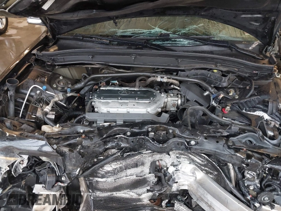 2009 Acura TL Tech with VIN 19UUA86549A010863, listed as a IAAI auction lot 41001252 with 186,441 mi miles. Bid and sale history available at carsss.com. Image 10.