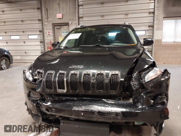 2014 Jeep Cherokee Limited with VIN 1C4PJMDS2EW202518, listed as a IAAI auction lot 41911156 with 119,533 mi miles. Bid and sale history available at carsss.com. Image 12.