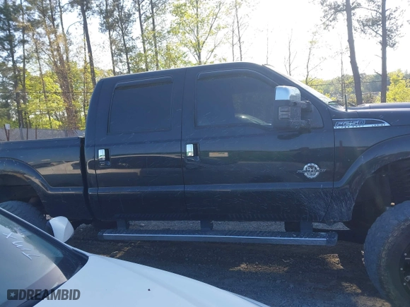 2014 Ford Super Duty F-250 SRW XL with VIN 1FT7W2BT5EEA71043, listed as a IAAI auction lot 42012200 with 204,793 mi miles. Bid and sale history available at carsss.com. Image 13.