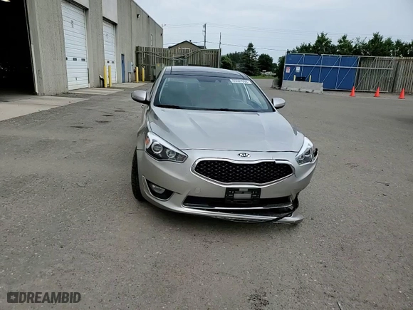 2014 Kia Cadenza Premium with VIN KNALN4D77E5125016, listed as a Copart auction lot 69007094 with 120,347 mi miles and Salvage Title. Bid and sale history available at carsss.com. Image 11.