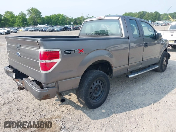 2010 Ford F-150 XL with VIN 1FTEX1E83AFD70461, listed as a IAAI auction lot 42438962 with 234,709 mi miles and . Bid and sale history available at DreamBid. Image 4.
